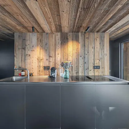 Mazot Renove A 1850, Skis Aux Pieds - Fr-1-564-83 Courchevel